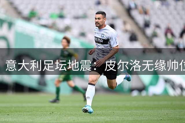 意大利足坛地震：皮尔洛无缘帅位 马尔蒂尼酝酿辞职