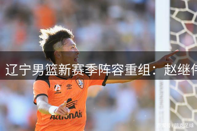 辽宁男篮新赛季阵容重组：赵继伟领衔，韩德君转型管理层